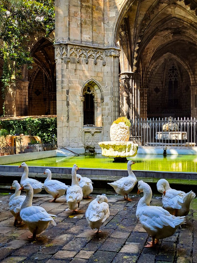 Достопримечательности Барселоны: Готический квартал