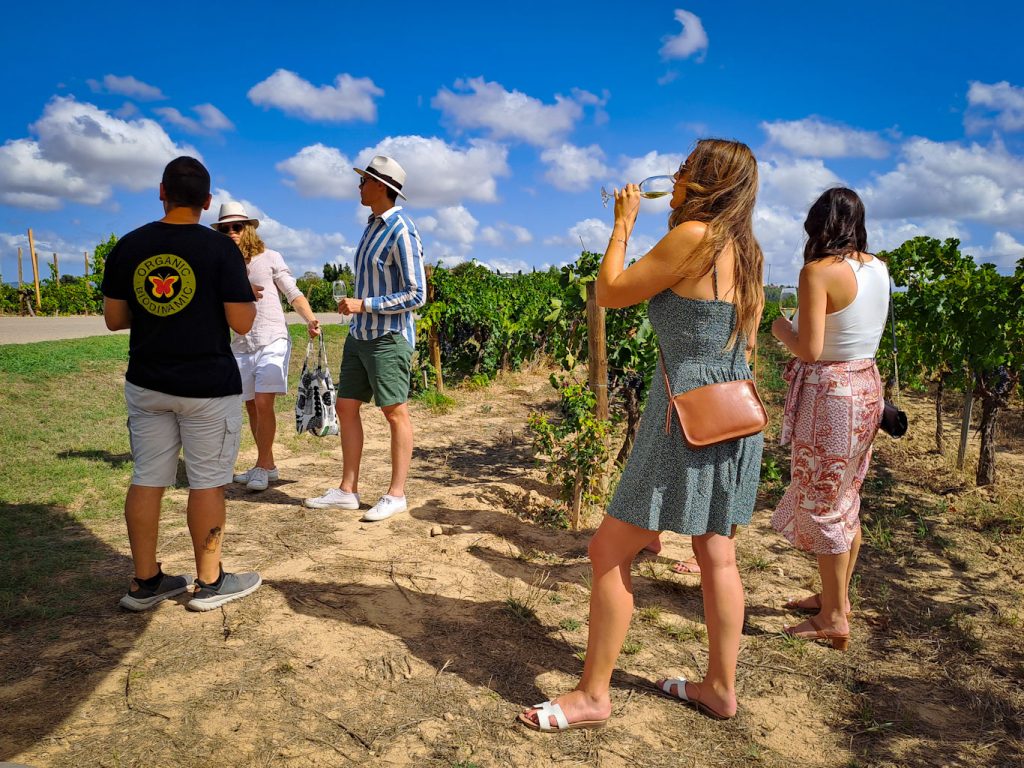 Погреб кавы в Пенедесе - винный тур из Барселоны