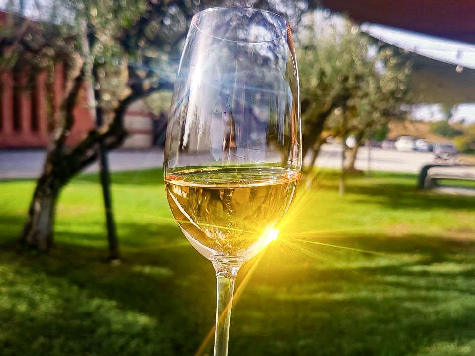 Кава - каталонское игристое вино