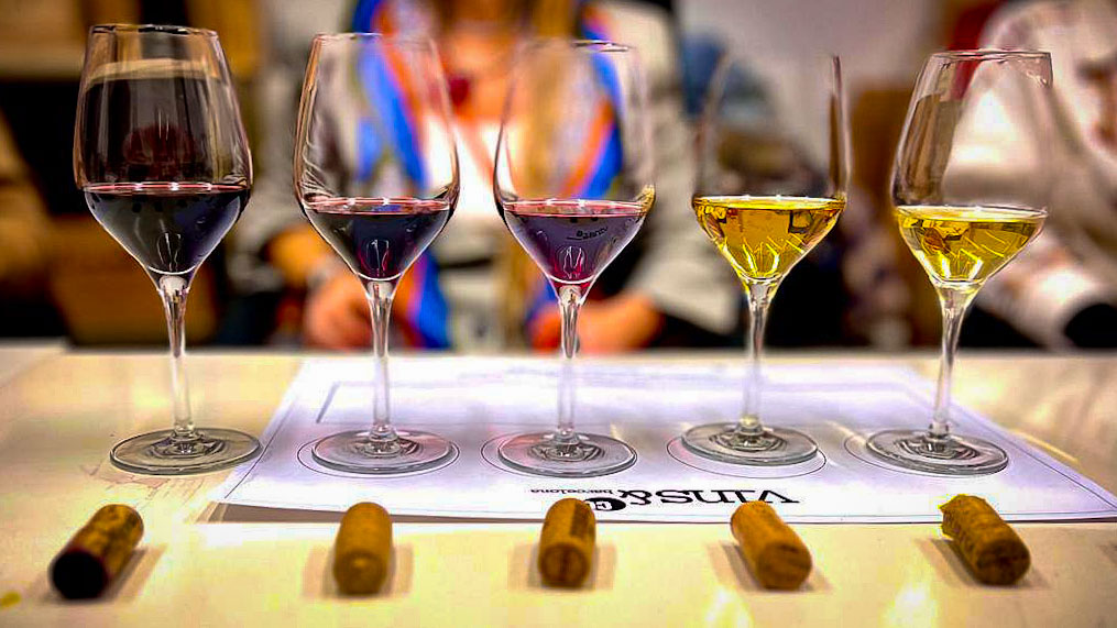 Испанские вина - все об испанском виноделии